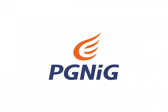 Logotyp PGNiG