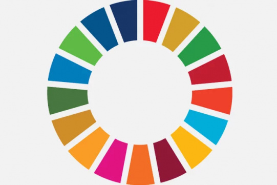 Sustainable Development Goals circle