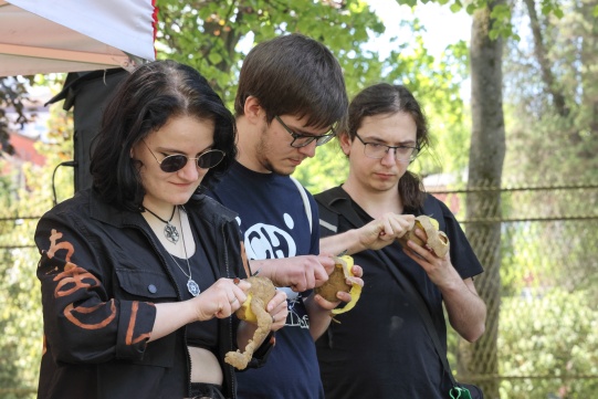 obieranie ziemniaków