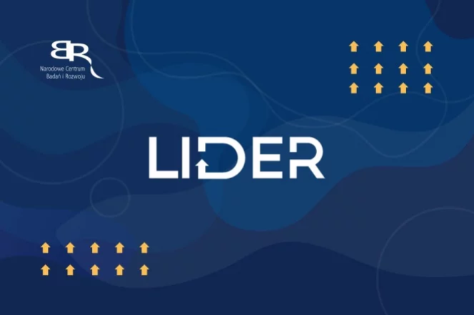 LIDER infographic