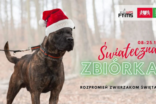 Świąteczna zbiórka