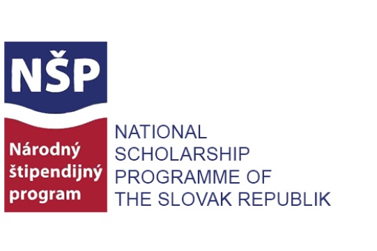NSP - logo