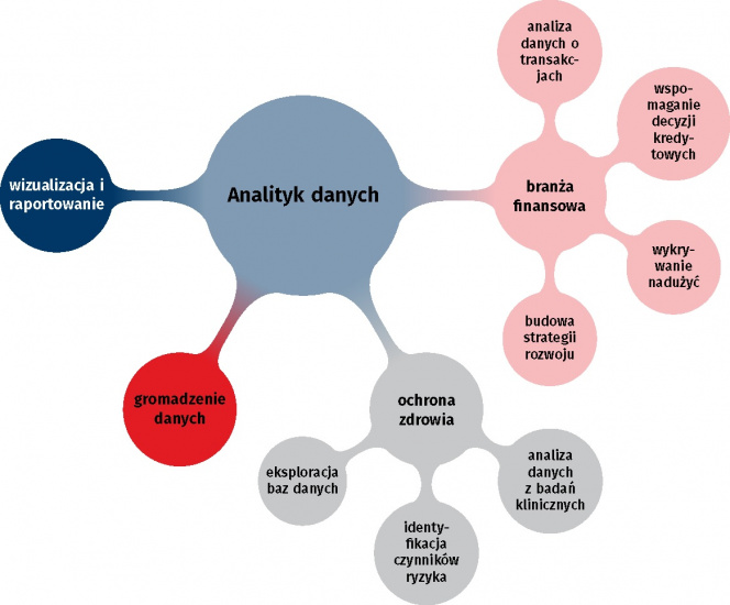 Diagram Analityk Danych