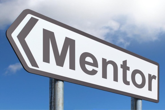 program_mentoringowy