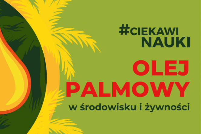 #CiekawiNauki - Olej palmowy w środowisku i żywności