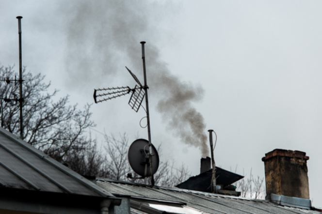 Wykład „Smog – historia – dzień dzisiejszy”