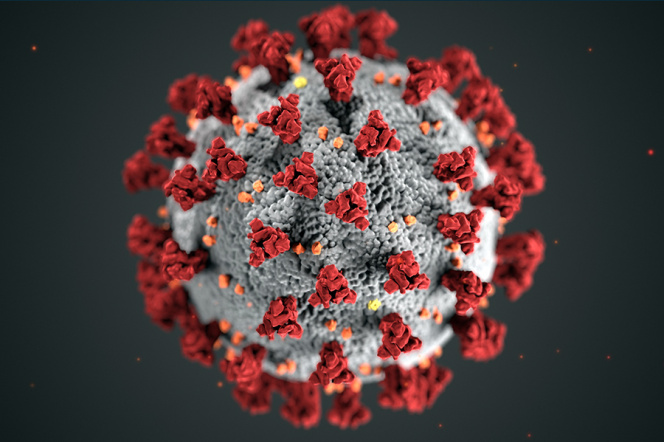 na zdjęciu wizualizacja koronawirusa