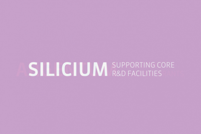Silicium 