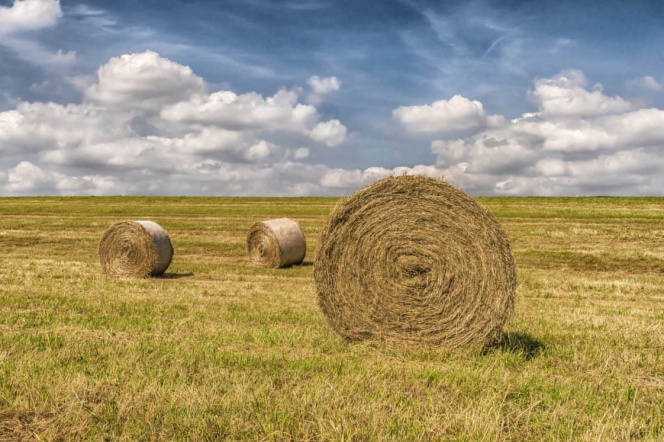 Hay on the field 