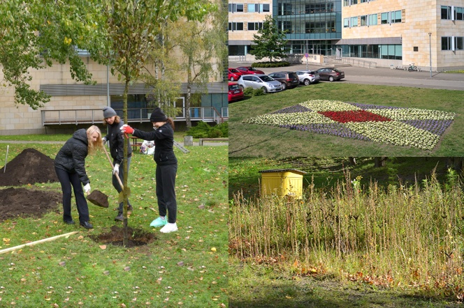 Kolaż trzech zdjęć. Po lewej trzy osoby sadzą drzewo. Po prawej na górnym i dolnym zdjęciu łąka kwietna.