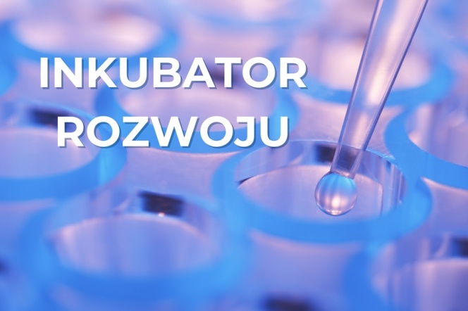 inkubator 