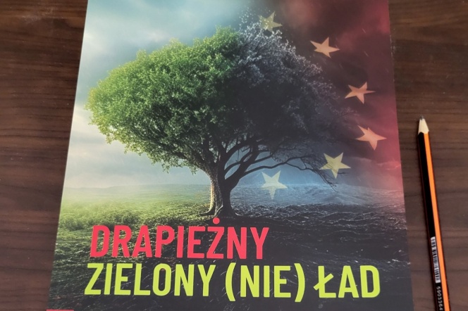 zielony lad