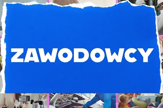 zawodowcy 