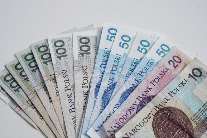 A fan of Polish banknotes