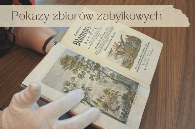 Pokaz zbiorów zabytkowych – zarezerwuj