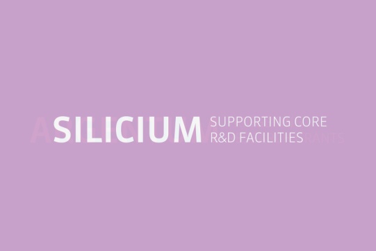 Silicium