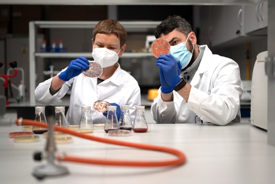 Na zdj. dr hab. inż. Marta Wanarska, prof. uczelni oraz dr hab. inż. Hubert Cieśliński, prof. uczelni z Katedry Biotechnologii Molekularnej i Mikrobiologii Wydziału Chemicznego PG. Fot. Dawid Linkowski / Politechnika Gdańska