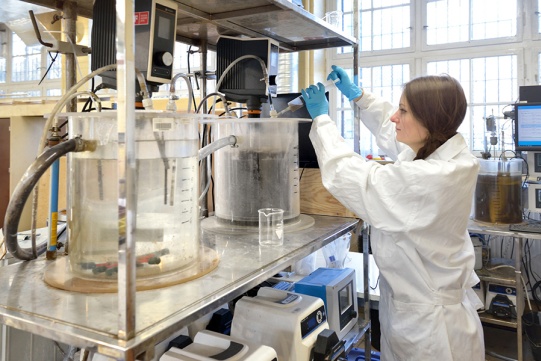 A scientis in the lab 