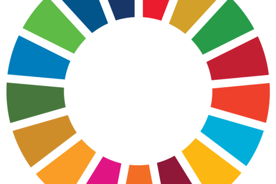 SDG_Wheel_Web