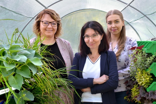 3 naukowczynie w szklarni 
