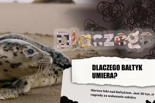 Martwe strefy w Bałtyku