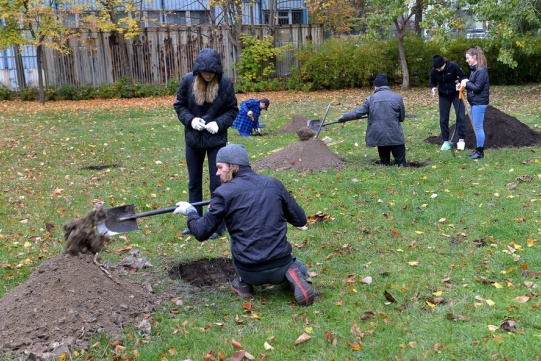 Sadzenie drzew owocowych za budynkiem WETI B. Fot. Krzysztof Krzempek/PG