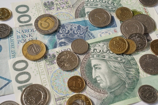 Zdjęcie przedstawia polskie pieniądze papierowe oraz bilon.