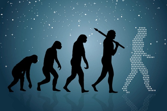 Ewolucja małpy 