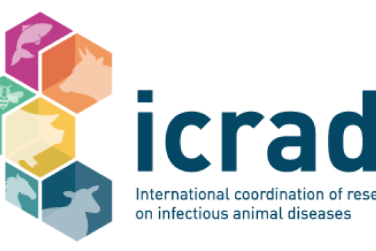 icrad