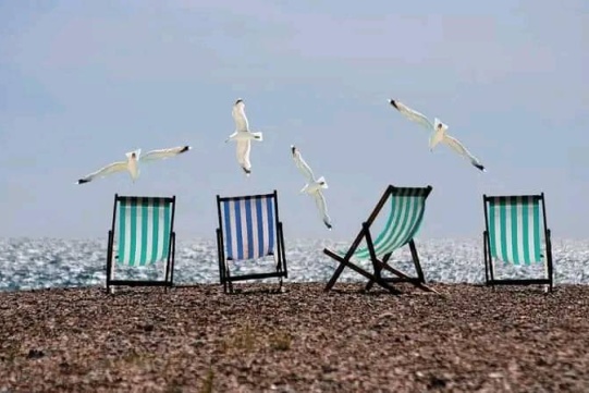 photo shows four deck chairs on the beach and seagulls flying above them