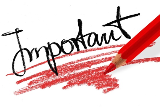Word important with red marking