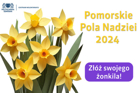 papierowe żonkile