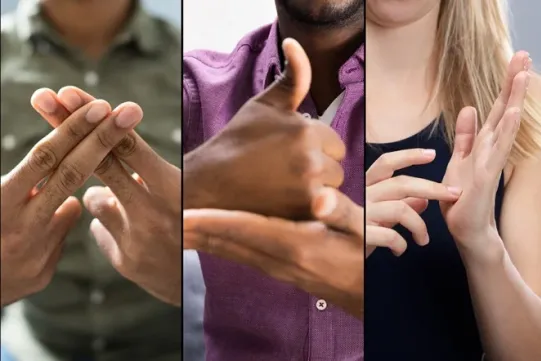 dłonie, język migowt