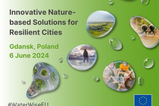 Innovative Nature-Based Solutions for resilient cities