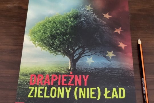 zielony lad