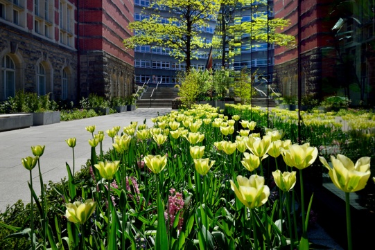 Fot. Krzysztof Krzempek/PG