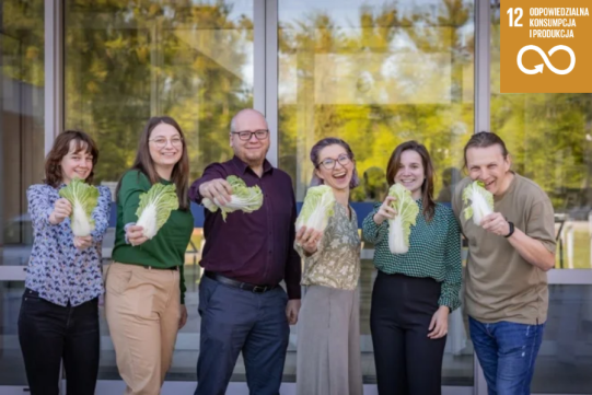 Kapustę pekińską zamienili w materiał do sensorów