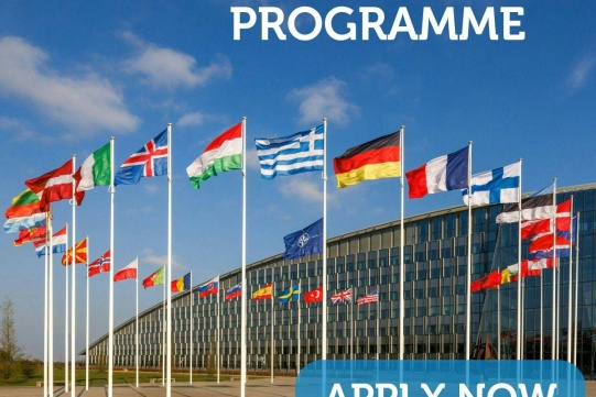 Na zdjęciu flagi NAto