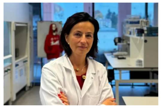 Badania nad biomateriałem wspierającym regenerację tkanki kostnej po resekcji nowotworu