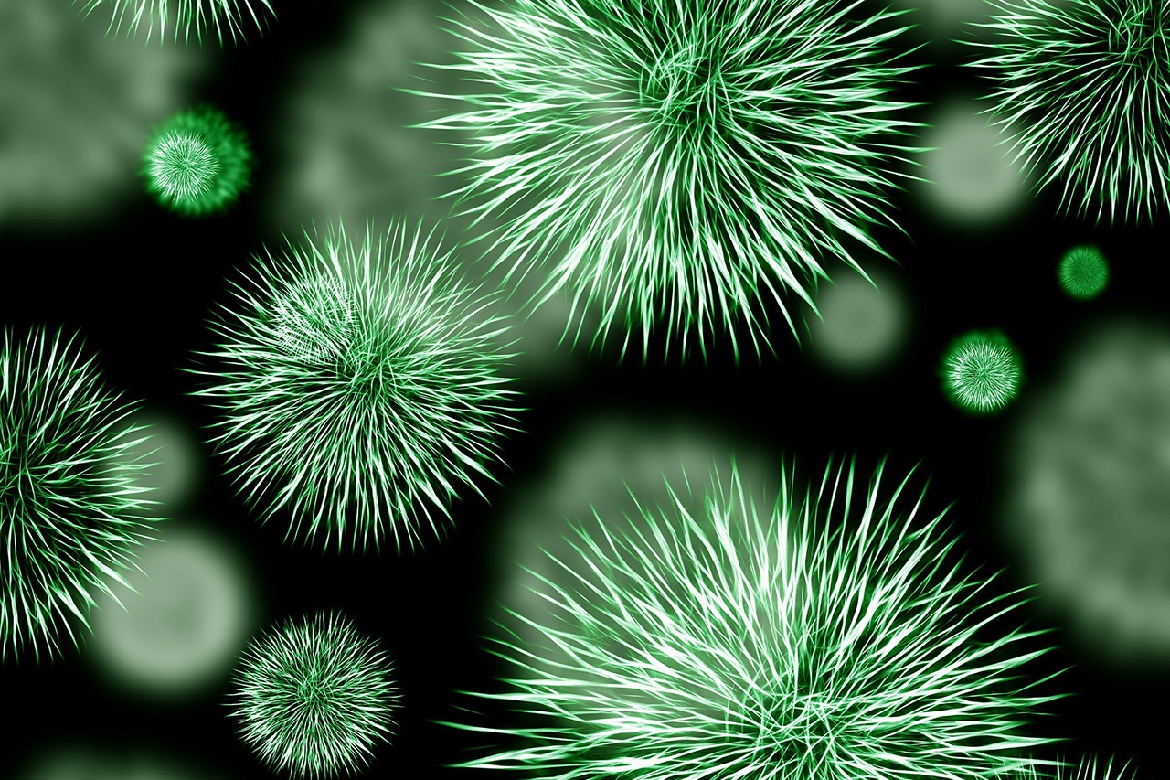 bakterie na zielonym tle 
