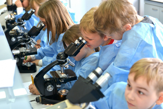 Bałtycki Festiwal Nauki