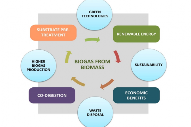 Schemat biogas from biomass