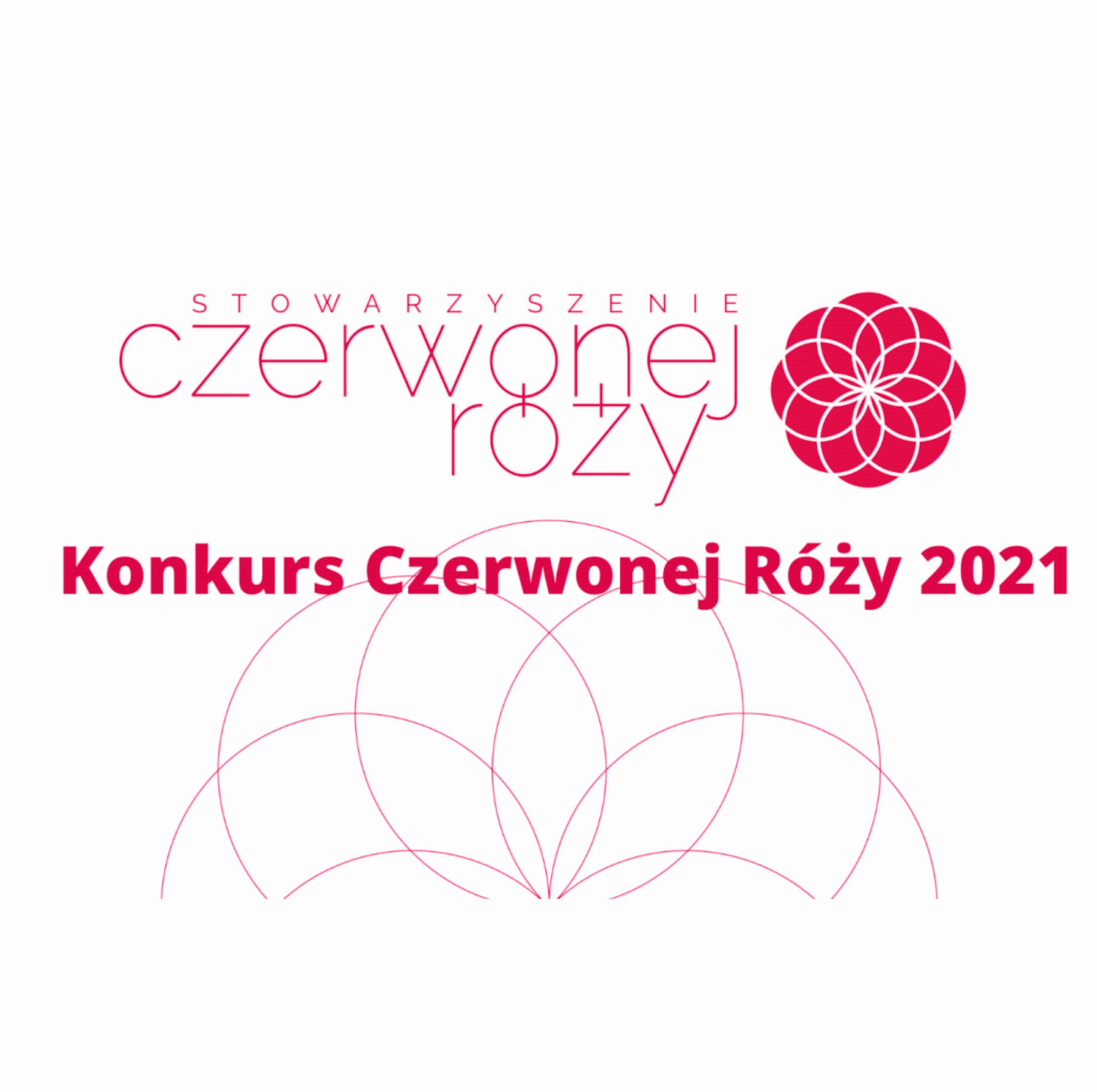 Czerwona róża