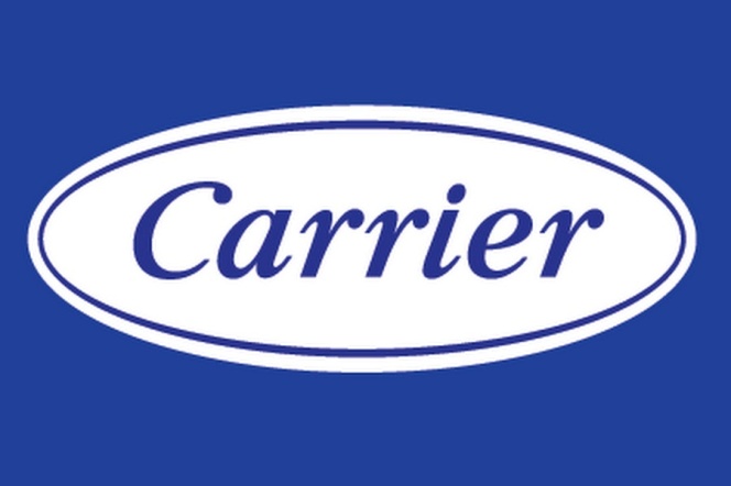 carrier - staż