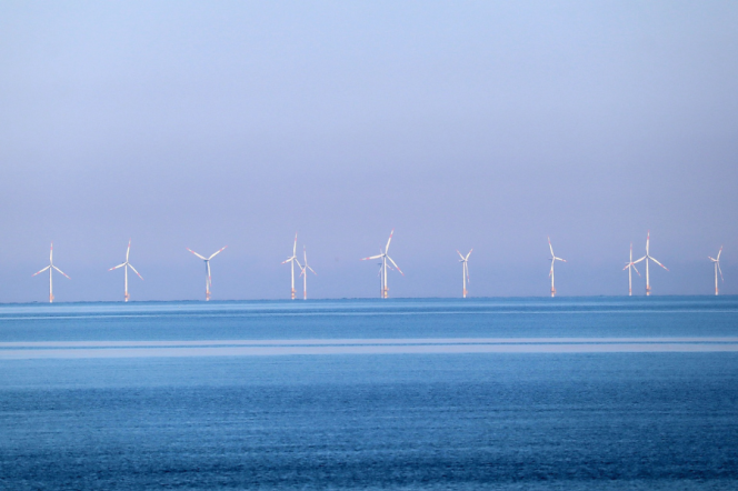 Zdjęcie przedstawiające morską farmę wiatrową, czyli kilkanaście wiatraków zamontowanych w morzu.