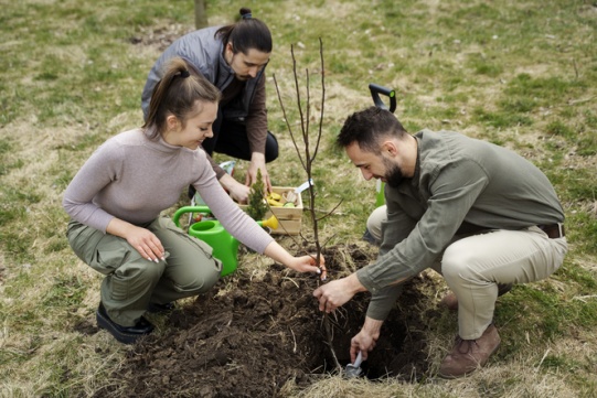 Planting